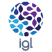 Insignia Global Limited